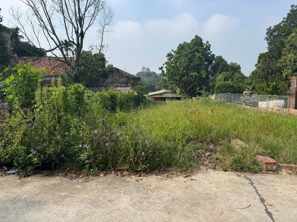 Đất chính chủ xã Quảng Oai, Ba Vì 200m² giá chỉ 1.9 tỷ - Đầu tư sinh lời!