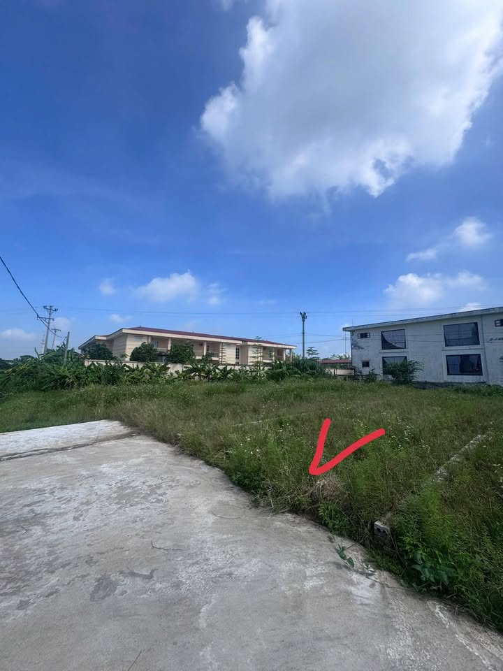 Đất Đấu Giá Làng Nghề Gia Phú - Tân Dân 111,9m² giá 2,93 tỷ - Đường rộng xe tải đỗ cửa!