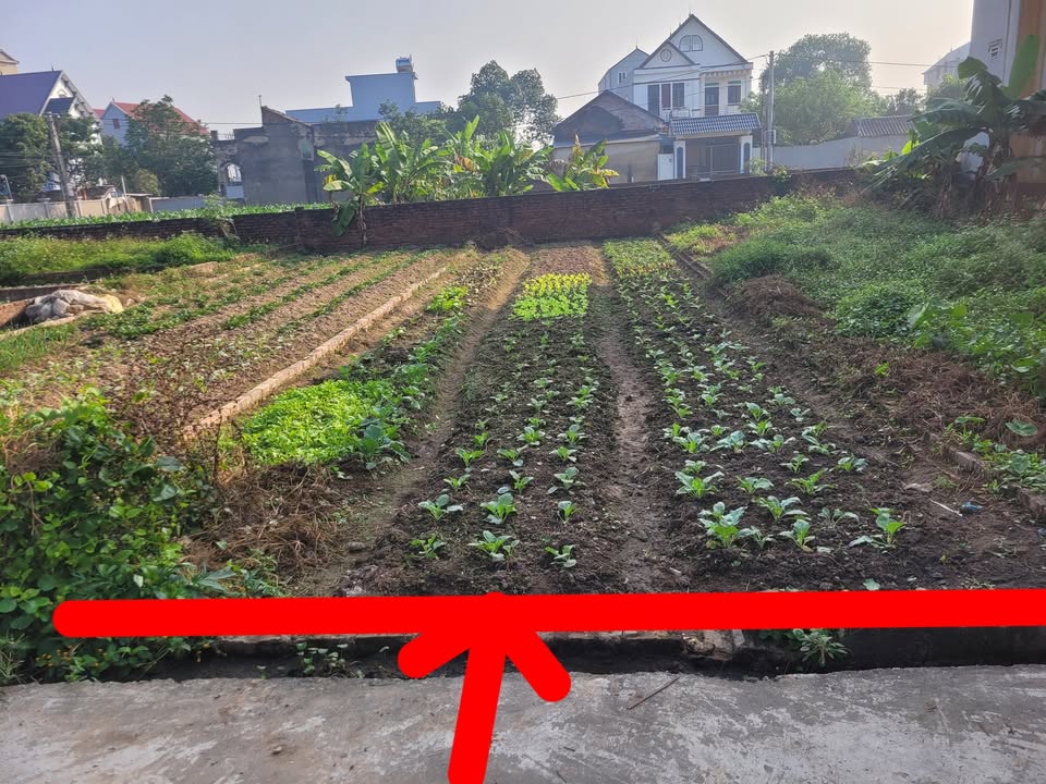 Đất Hiền Ninh, Sóc Sơn 103m² giá 2 tỷ - Sổ đỏ chính chủ, vị trí đẹp!