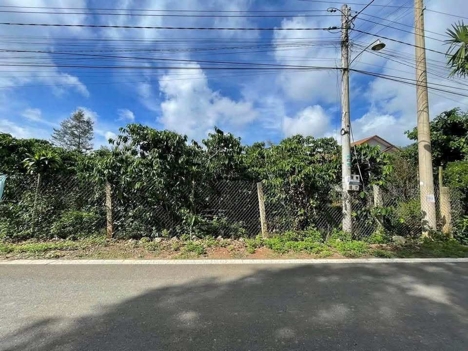 Đất nền hẻm 414 Trần Hưng Đạo, Bảo Lộc 1120m² giá 5.2 tỷ - Sổ đỏ chính chủ!