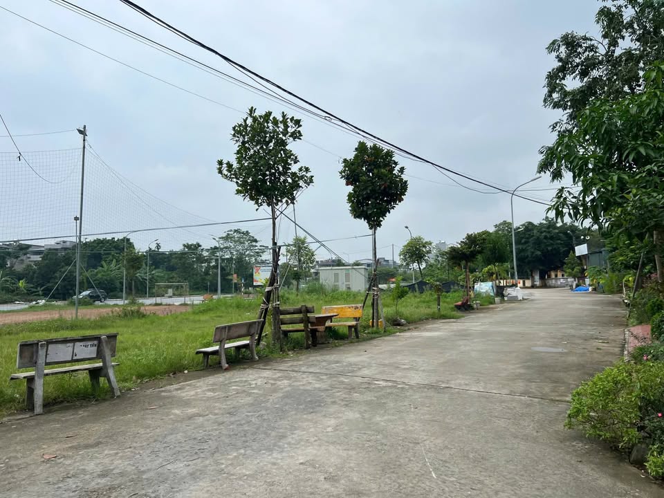 Đất nền Xóm Đỉnh Trưng Vương 113m² giá 2 tỷ - Cơ hội đầu tư hấp dẫn!