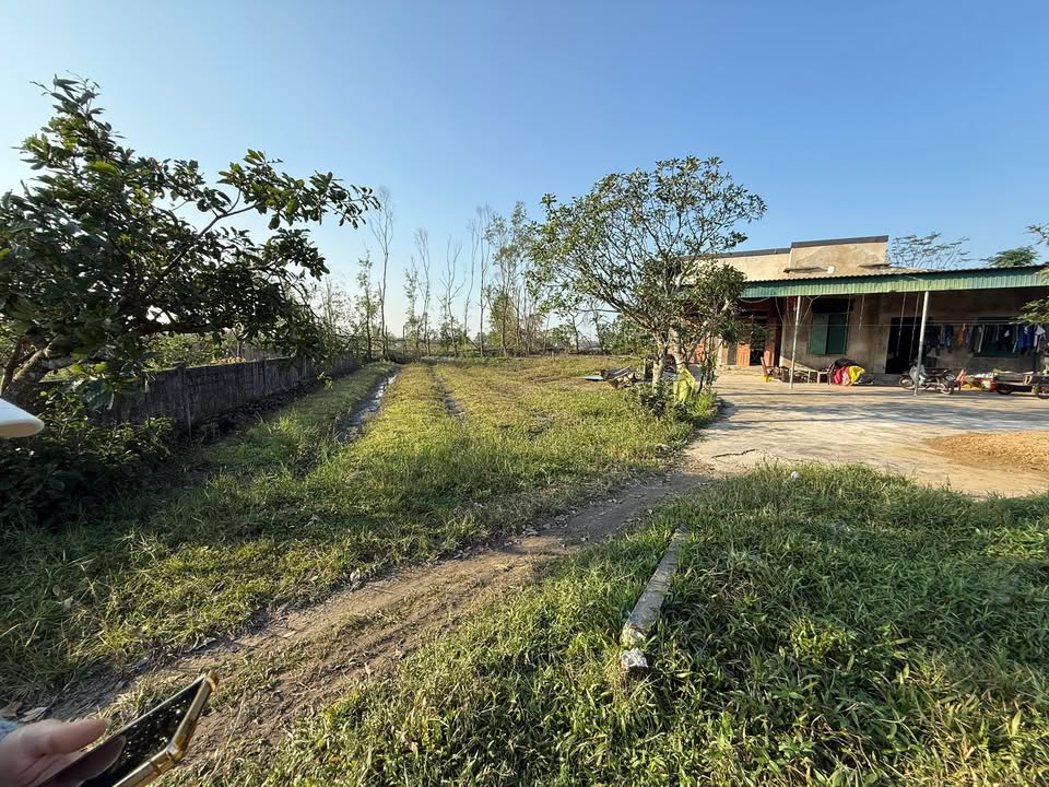 Đất nền Thạch Hội 300m² - Giá thỏa thuận, không lỗi nhỏ!