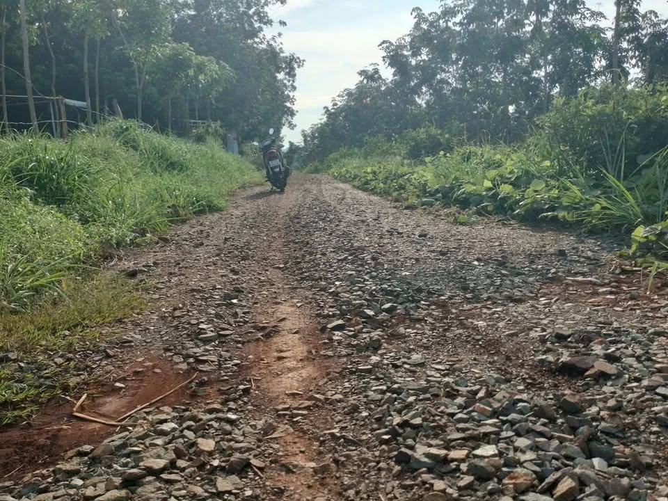 Đất nền Tân Lợi, Hớn Quản 21000m² giá chỉ 3 tỷ - Cơ hội đầu tư vàng!