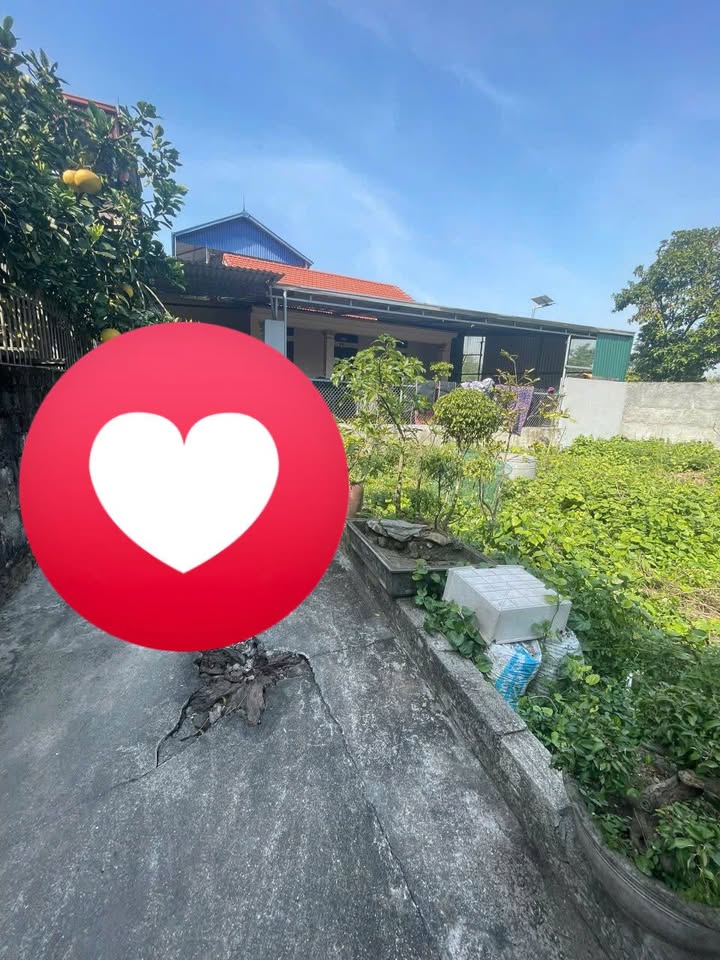 Đất nền Đại Áng, Thanh Trì, Hà Nội 46m² giá 3 tỷ - Vị trí thuận tiện cho đầu tư!