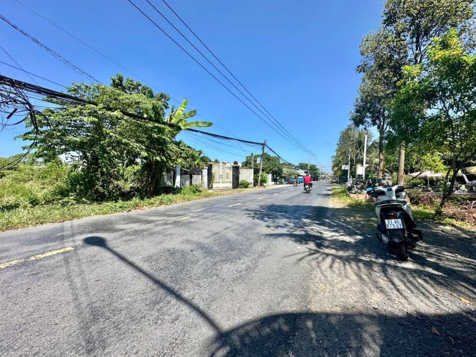 Đất mặt tiền Tỉnh Lộ 879B, Mỹ Phong, TP Mỹ Tho 730m² - Cơ hội đầu tư tuyệt vời!