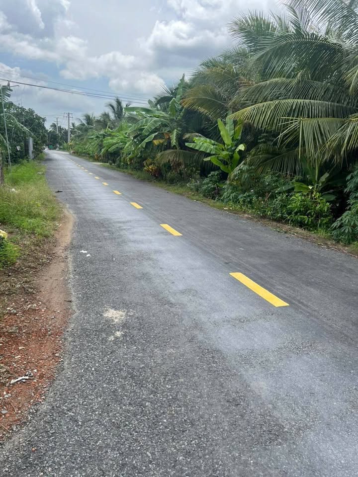 Đất nông nghiệp 237m² tại Ấp Bình Long, Chợ Gạo, Tiền Giang - Giá tốt chỉ 1.05 tỷ!