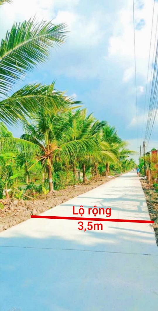 Đất nền 1,6 công tại Đông An, Tân Hiệp, Kiên Giang - Giá chỉ 1.1 tỷ, cơ hội đầu tư hấp dẫn!