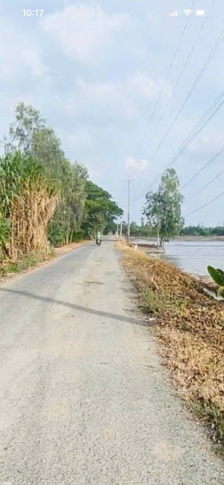 Đất nông nghiệp Thoại Sơn 216000m² giá 9.6 tỷ - Gần chợ Vĩnh Phú!