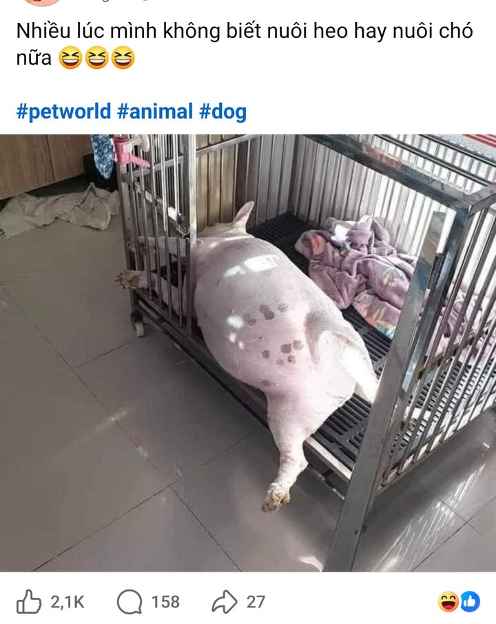 Nhà cho thuê đẹp đường Phan Huy Ích, Tân Bình 2PN giá chỉ 9 triệu/tháng