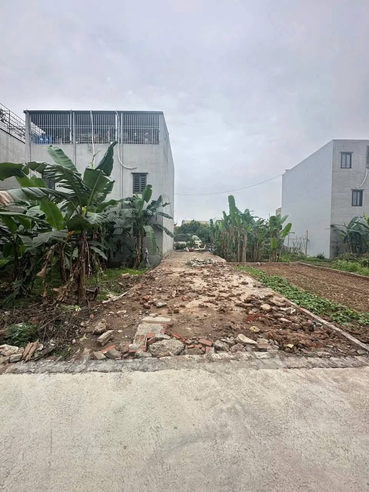 Đất nền Phụng Châu, Chương Mỹ 87m² giá 4 tỷ - Vị trí đẹp, đầu tư sinh lời!