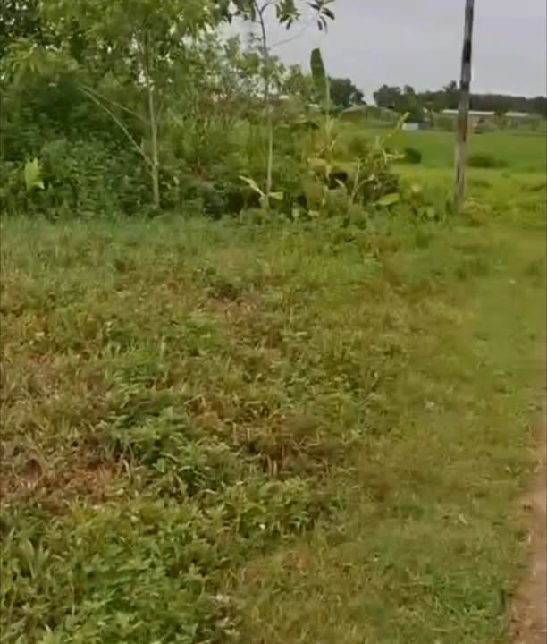 Đất nền 600m² Kim Anh, Sóc Sơn - Vị trí tiềm năng, giá thỏa thuận