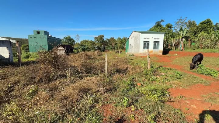 Bán lô đất nở hậu đẹp tại Ia Pnôn, Gia Lai - Giá chỉ 235 triệu