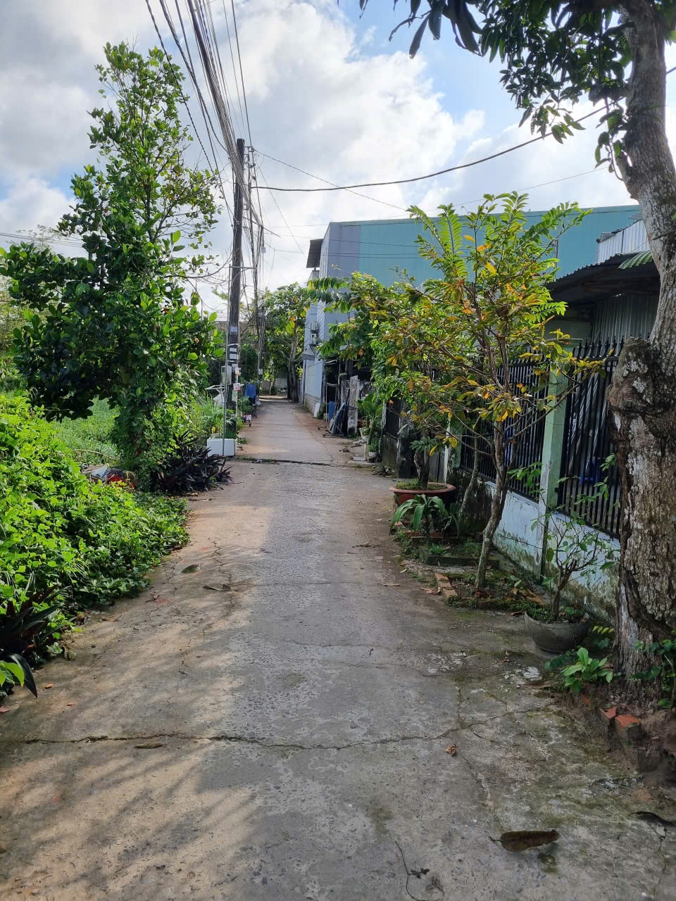 Nhà cấp 4 cho thuê tại KDC 923, 64m² giá chỉ 3 triệu/tháng - Tiện nghi đầy đủ!