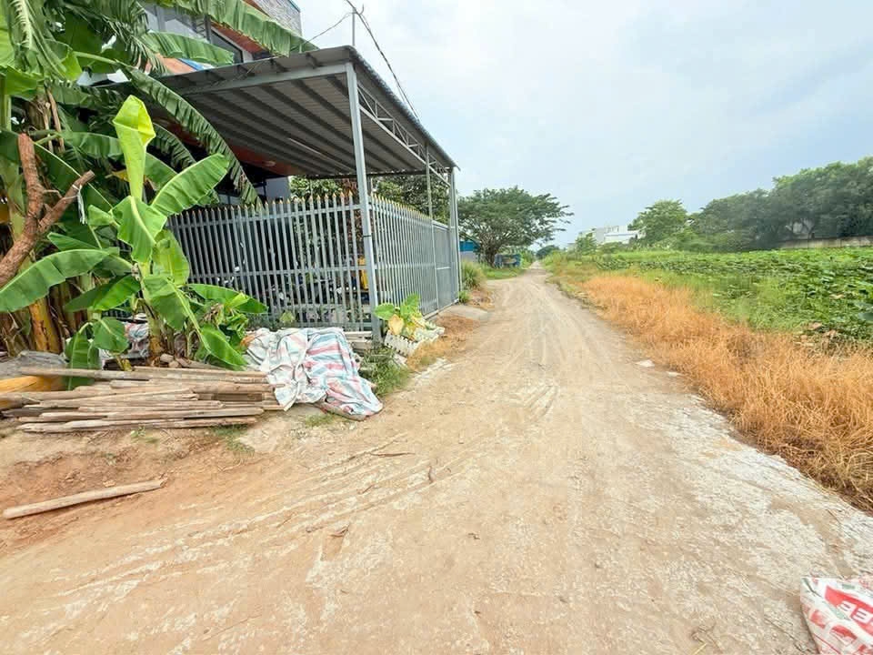 Bán nền thổ cư đường số 3, KDC 135, Thị trấn Bến Lức 120m² giá 2.6 tỷ - Địa thế đắc địa, tiện ích đầy đủ!