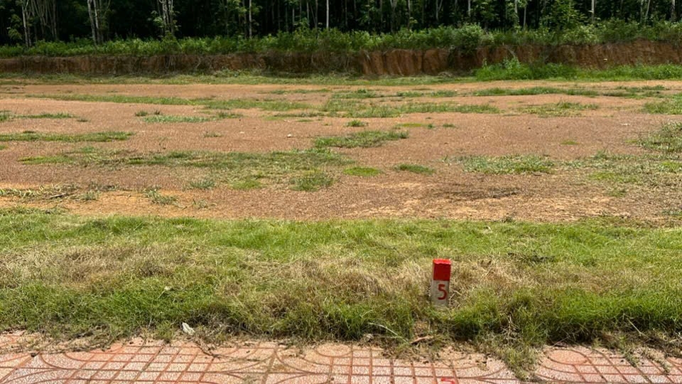 Đất đầu tư tại Đồng Phú, Bình Phước 250m² giá 410 triệu - Vốn chỉ 80 triệu sở hữu ngay!