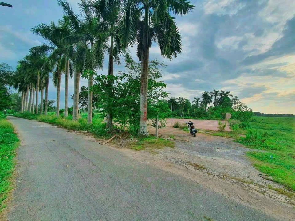 Đất nền mặt tiền Nguyễn Thị Kiệp, Củ Chi 4ha giá 160 tỷ - Cơ hội đầu tư sinh lời!