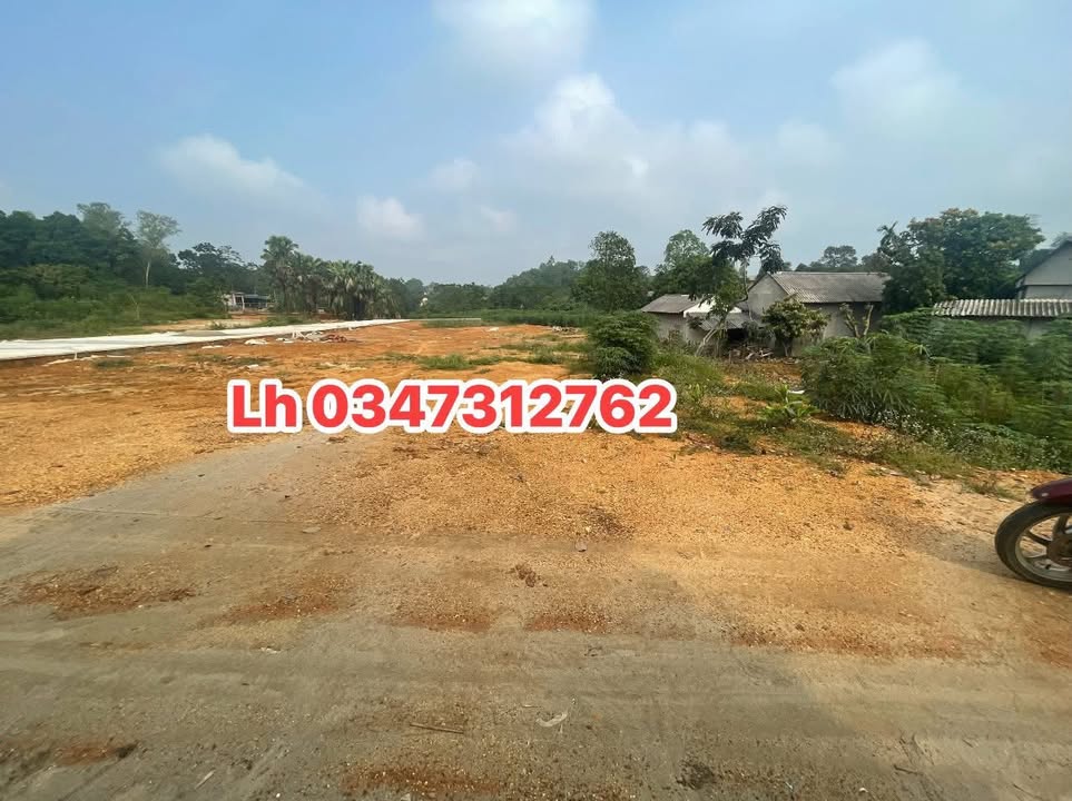 Đất thổ cư Phong Châu, Phú Thọ 100m² giá 750 triệu - Đầu tư sinh lời ngay!