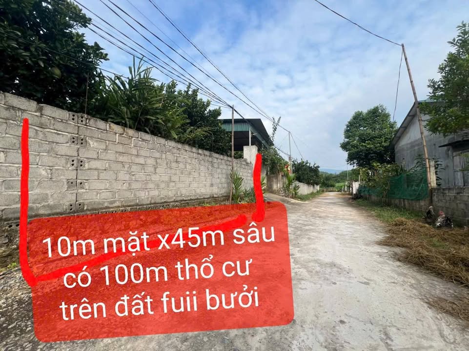 Đất nền Mãn Đức Tân Lạc 450m² giá 600 triệu - Đầu tư sinh lời ngay!