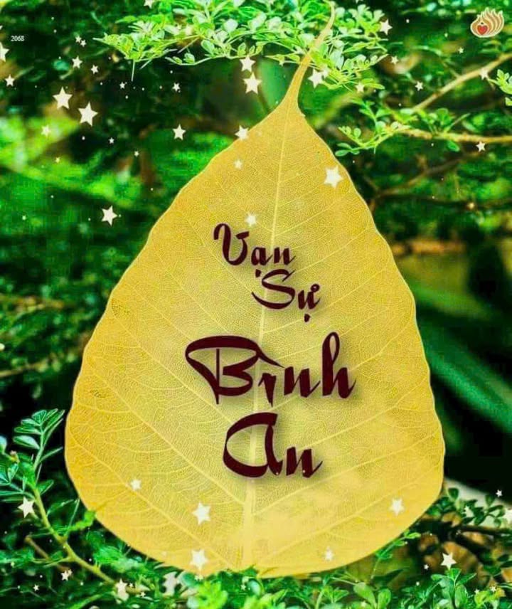 Đất Ngọc Tân, Hoàng Vân, Bắc Ninh 145.8m² - Giá thỏa thuận, đầu tư sinh lời ngay!