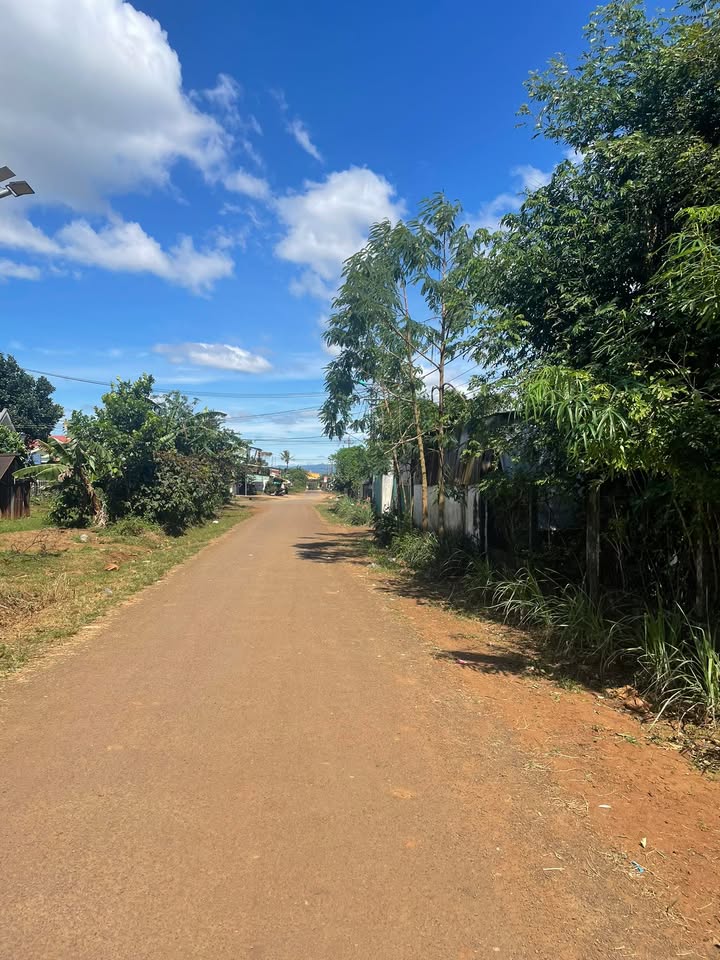 Bán đất mặt tiền Nguyễn Bá Lại, An Phú, Pleiku 240m² - Đầu tư sinh lời hấp dẫn!