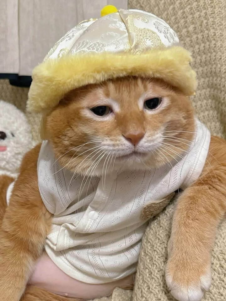 Căn hộ 1PN Times City quận Hai Bà Trưng 11 triệu - Full nội thất, vào ở ngay!