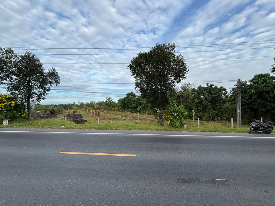 Đất nền Phong Điền, Cần Thơ 7.850m² - Mặt tiền 43m, giá thương lượng!