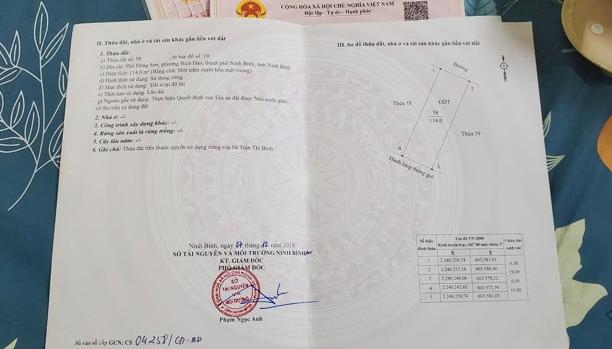 Đất chính chủ tại Đông Sơn Bích Đào, 114m² giá 5 tỷ - Cơ hội đầu tư hấp dẫn!