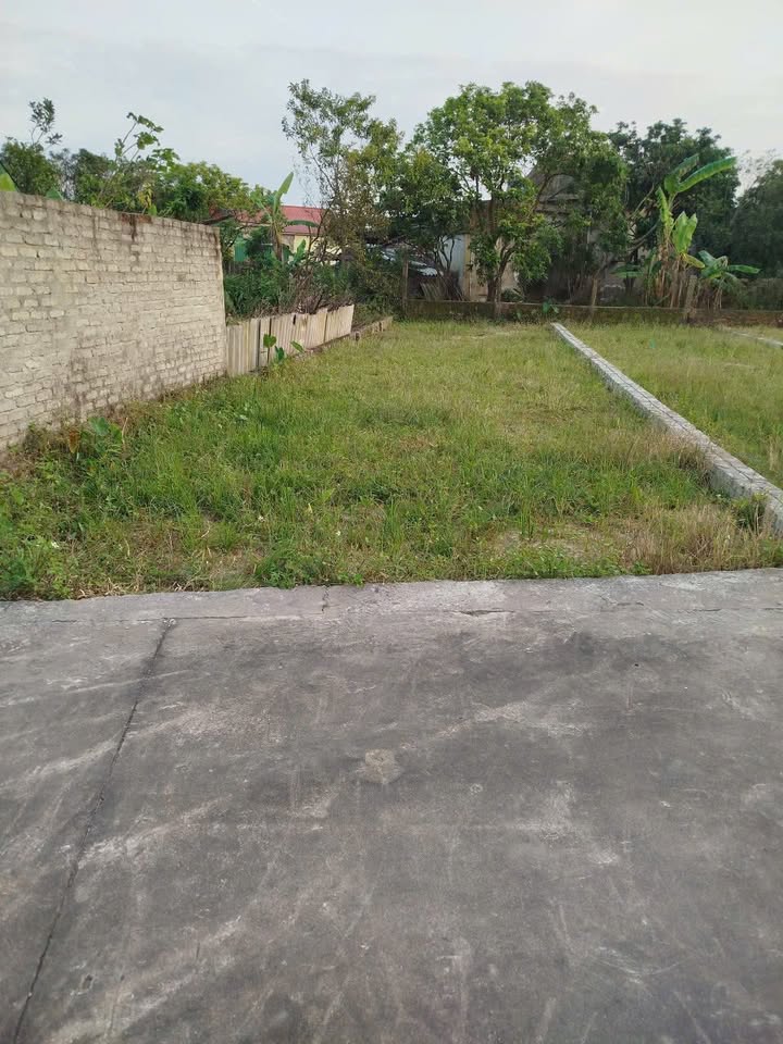 Đất nền Nghi Liên, TP Vinh 96m² giá chỉ 1.5 tỷ - Đầu tư sinh lời ngay!