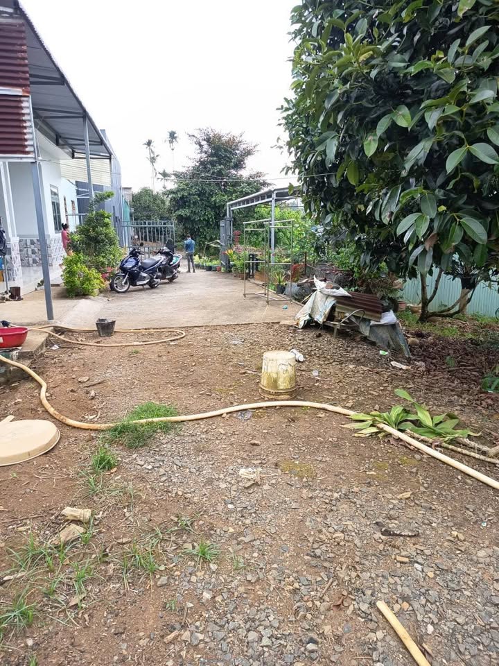 Đất Bảo Lộc 1942m² giá 10.5 tỷ - Cơ hội đầu tư sinh lời!