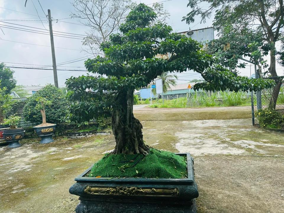 Đất nền An Nhơn Tây, Củ Chi 1000m² giá 3.8 tỷ - Đầu tư tiềm năng!