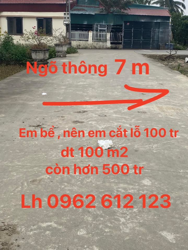 Đất nền 100m² tại Quảng Định, giá chỉ 500 triệu - Cắt lỗ gấp!