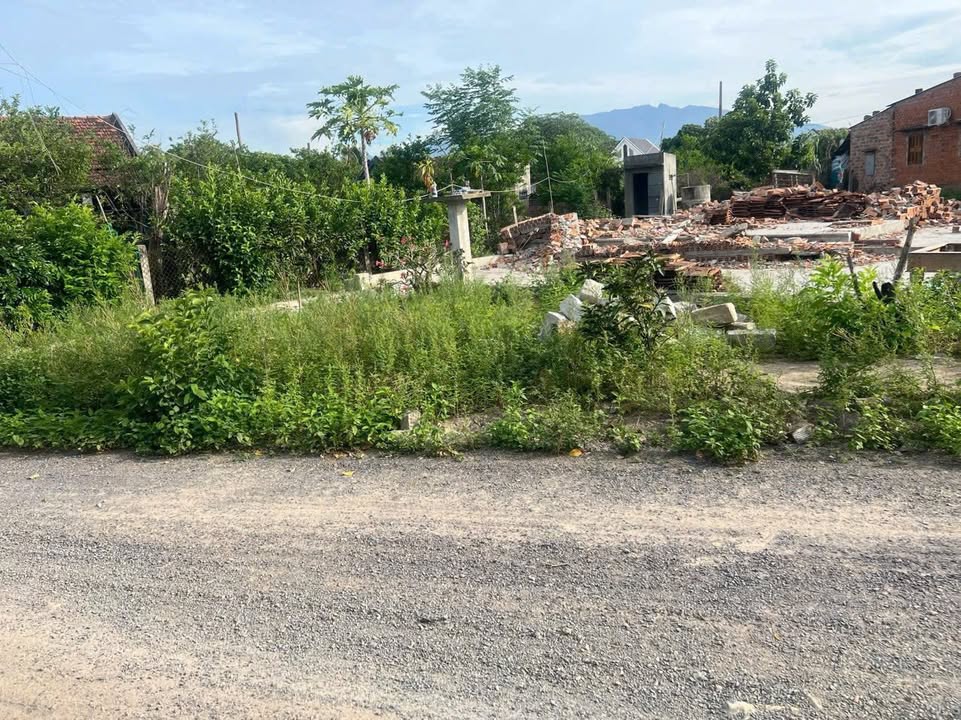 Đất nền Ninh Phụng Ninh Hòa 396m² giá 800 triệu - Đầu tư thông minh!