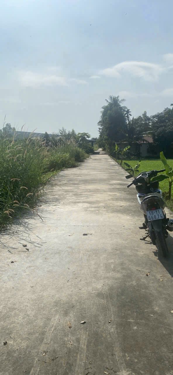 Đất nền Bình Mỹ 100m² giá 1.35 tỷ - Mặt tiền đường bê tông, vị trí đắc địa!