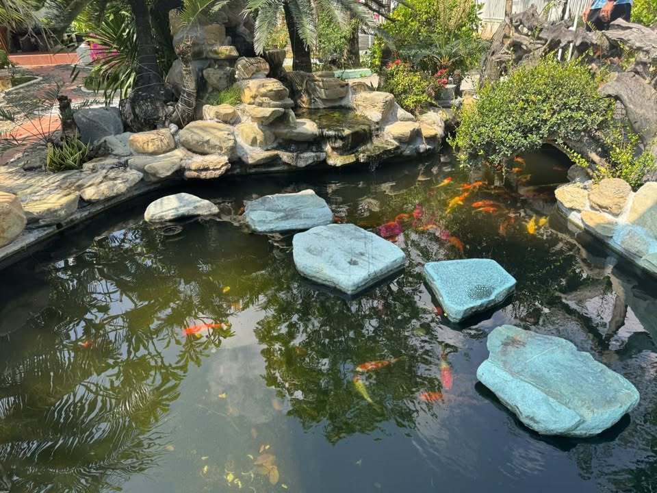 Biệt thự nhà vườn Ninh Thọ 1.100m² giá 6,5 tỷ - Không thể bỏ lỡ!