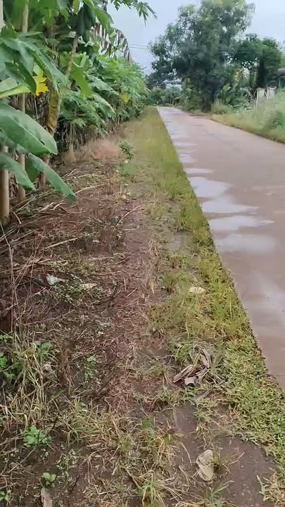 Đất thổ cư Ea M'nang Cư M'gar 63,000m² giá 3.3 tỷ - Đầu tư sinh lời bền vững!