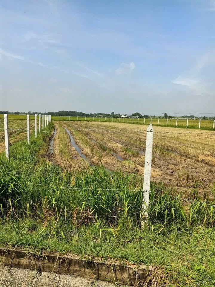 Đất thổ cư Thạnh Xuân Q12 2258m² giá 50 tỷ - Cơ hội đầu tư sinh lời!