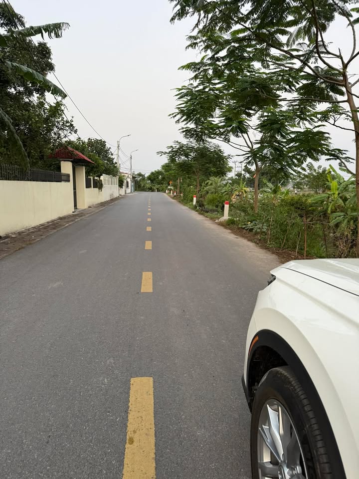 Đất nền Vĩnh Hoà, Vĩnh Bảo 100m² - Đầu tư sinh lời ngay cạnh khu công nghiệp!