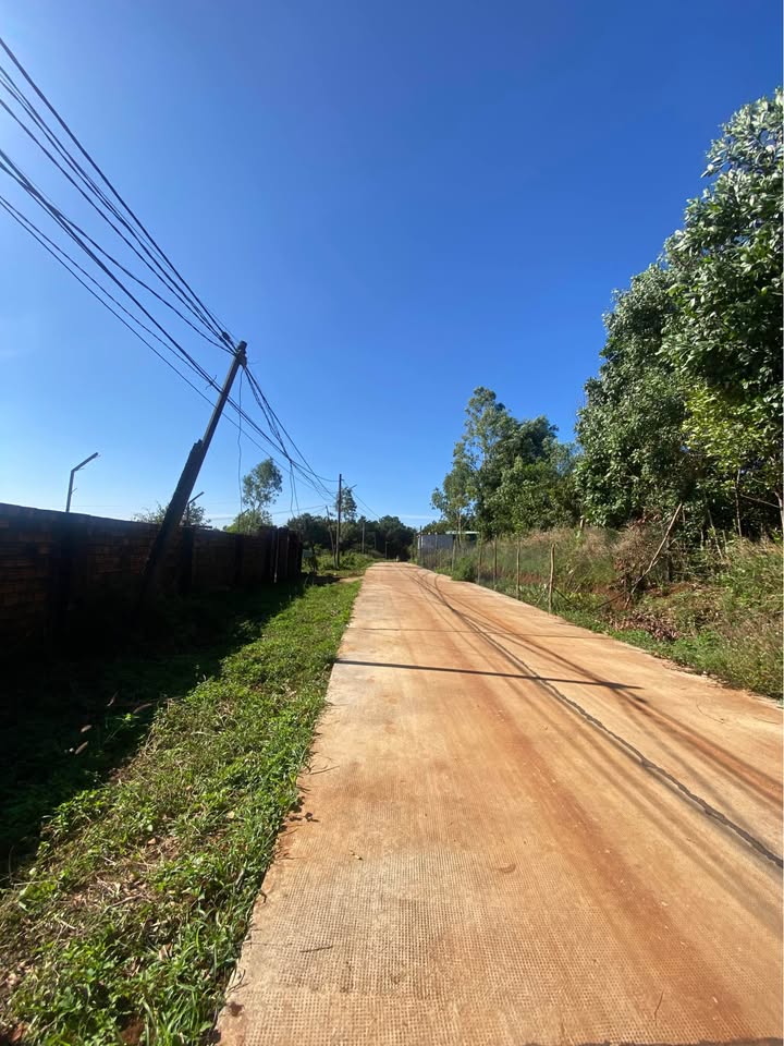 Đất nền hẻm 02 Hoàng Sa, Diên Hồng, Gia Lai 250m² - Đầu tư sinh lời ngay!