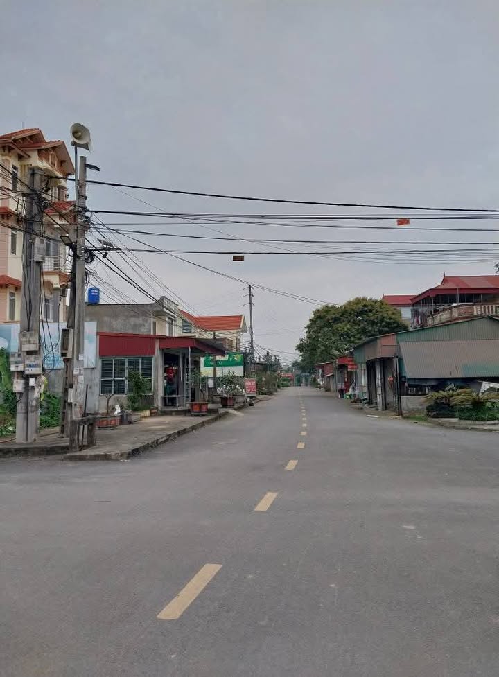 Lô đất thổ cư 100% tại Thôn An Hiệp, Quỳnh Giao 100m² giá 1.5 tỷ - Cơ hội đầu tư tuyệt vời!