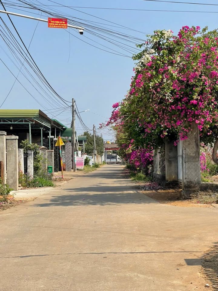 Đất thổ cư Hòa Phú Buôn Ma Thuột 165m² giá 995 triệu - Sẵn sàng xây dựng ngay!