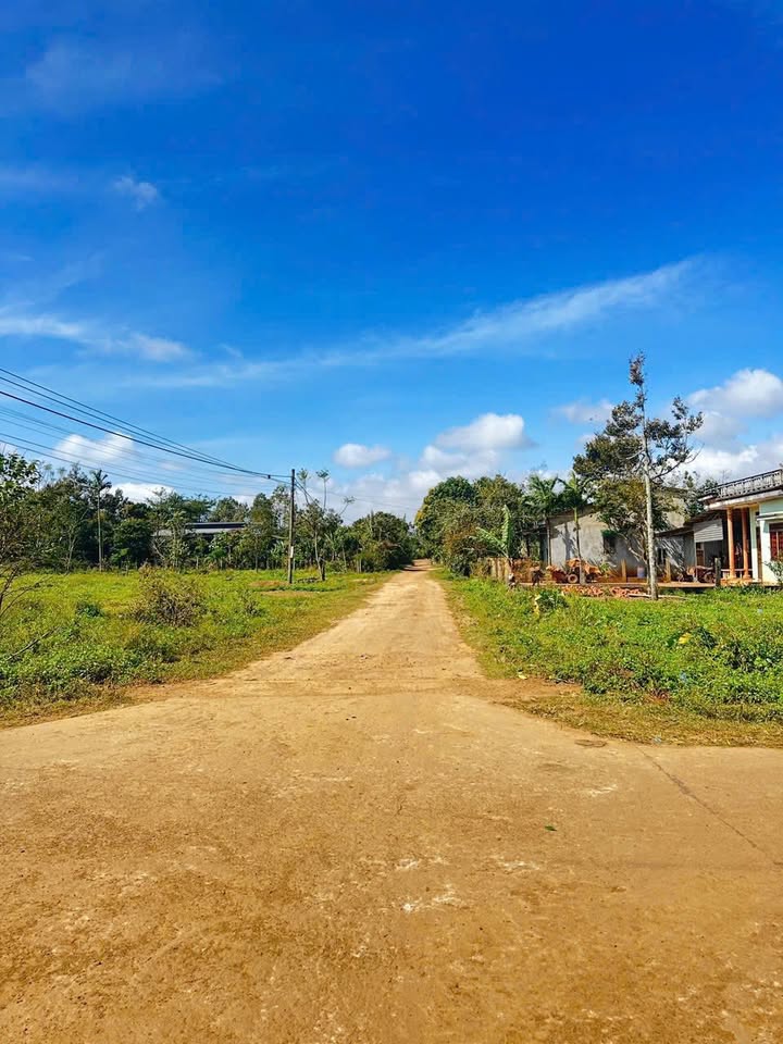 Lô đất Hòa Đông, Krông Pắc 117m² giá chỉ 590 triệu - Cơ hội đầu tư tuyệt vời!