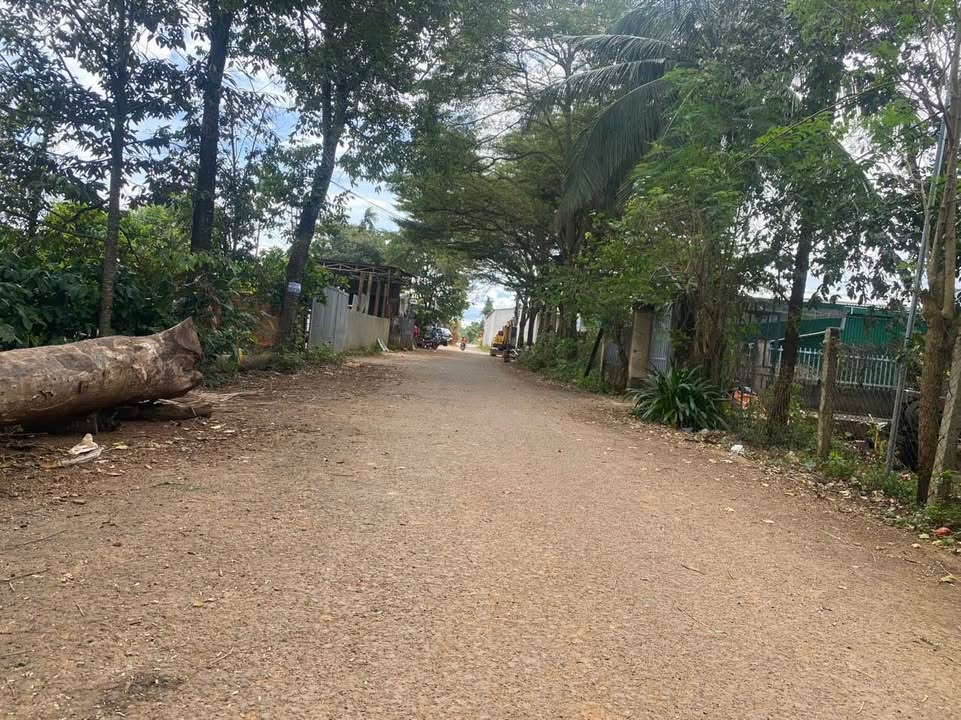 Đất thổ cư 145m² phường Thành Nhất, Buôn Ma Thuột - Giá chỉ 1.35 tỷ VND!