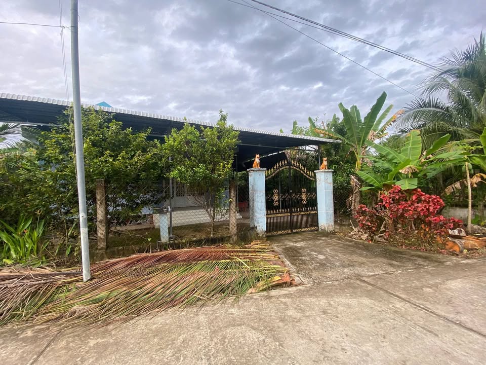 Nhà vườn Tam Phước, Châu Thành, Bến Tre 1.002m² - Không gian nghỉ dưỡng lý tưởng!