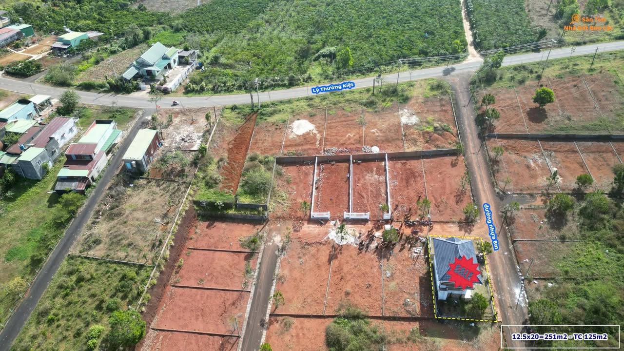 Đất thổ cư 125m² đường Lý Thường Kiệt Bảo Lộc 251m² - Giá tốt, đầu tư sinh lời!