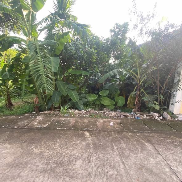 Đất nền bán tại thôn Yên Lệnh, xã Chuyên Ngoại 151m² giá 1.51 tỷ - Cơ hội đầu tư tuyệt vời!