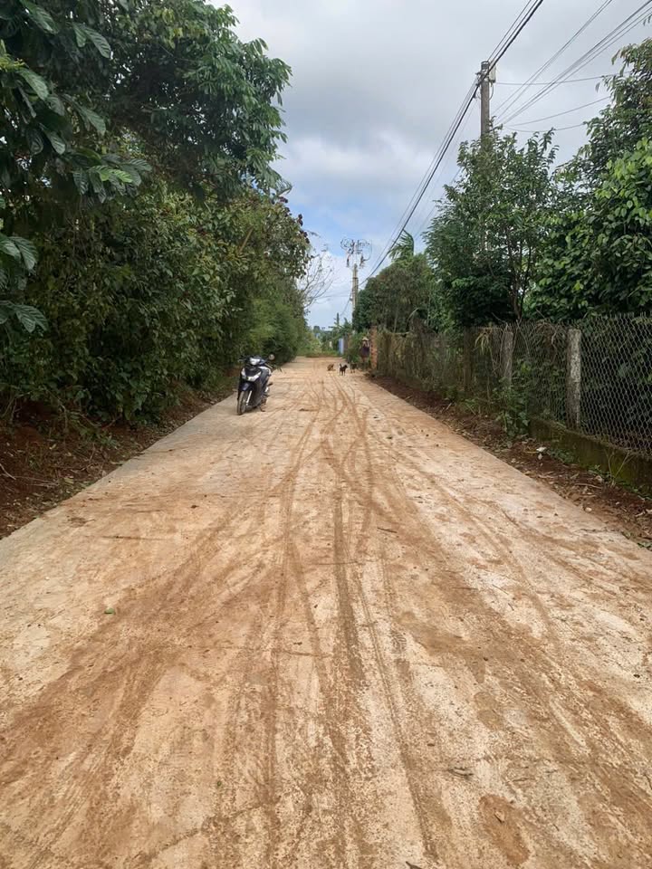 Đất nền Cư Bao Buôn Hồ 130m² chỉ 255 triệu - Đầu tư sinh lời ngay!