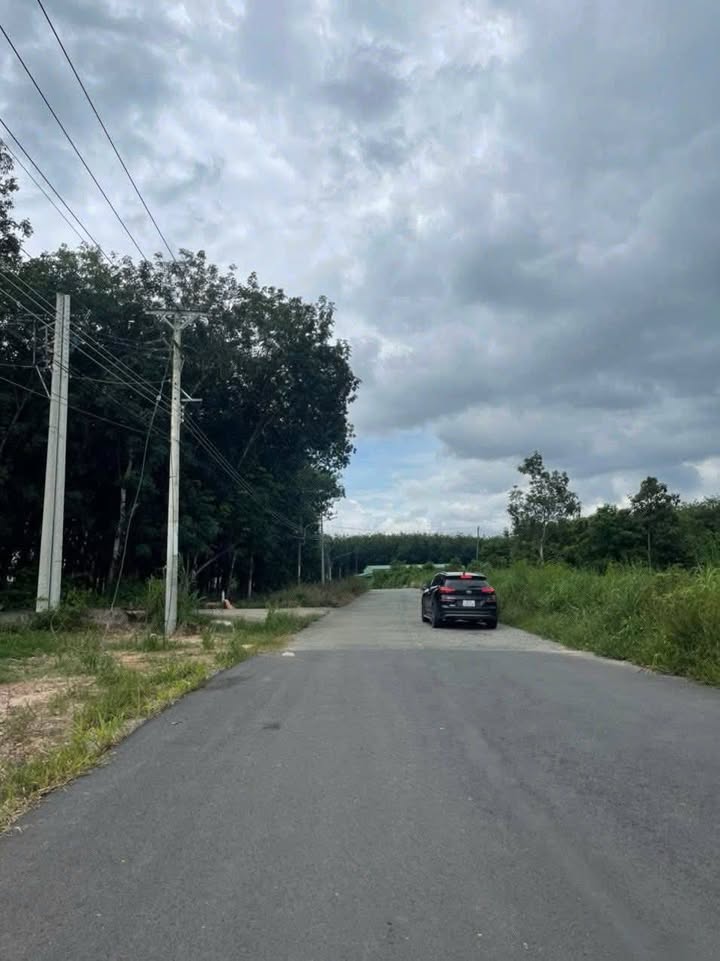 Đất nền Bàu Bàng, Long Nguyên 580m² giá 700 triệu - Đầu tư sinh lời ngay!