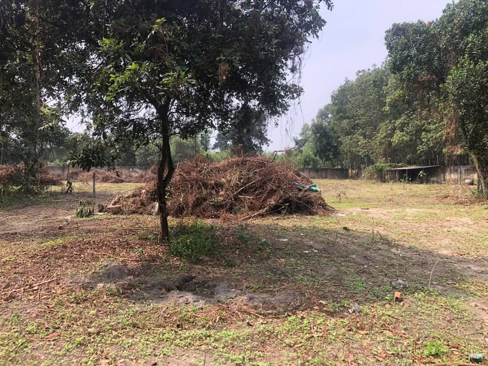 Đất thuê tiềm năng 4338m² tại Phường Tân Hiệp - Giá chỉ 30 triệu/tháng!