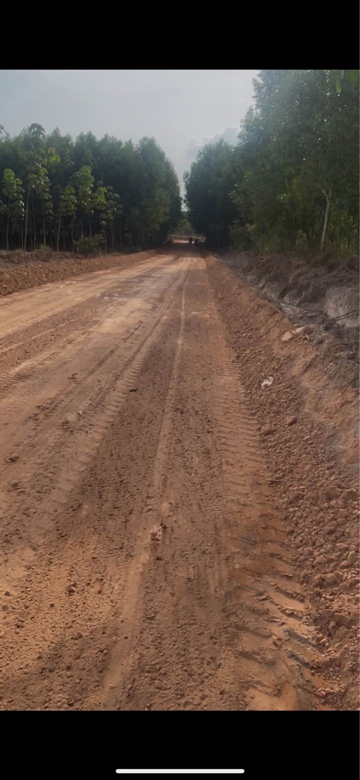 Đất nền Bàu Bàng 1700m² - Giá siêu hấp dẫn cho nhà đầu tư!