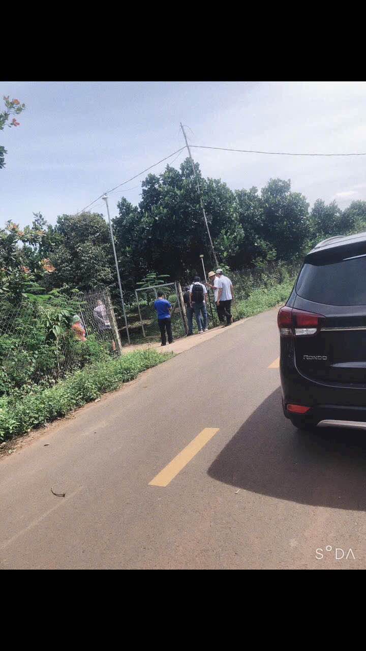 Đất Xuyên Mộc 3600m² giá 5.5 tỷ - Mặt tiền nhựa tim vàng, vườn trái cây đủ loại!